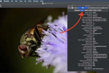 Remove EXIF Metadata from Your Digital Photographs