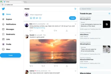 The Most Popular Twitter Applications
